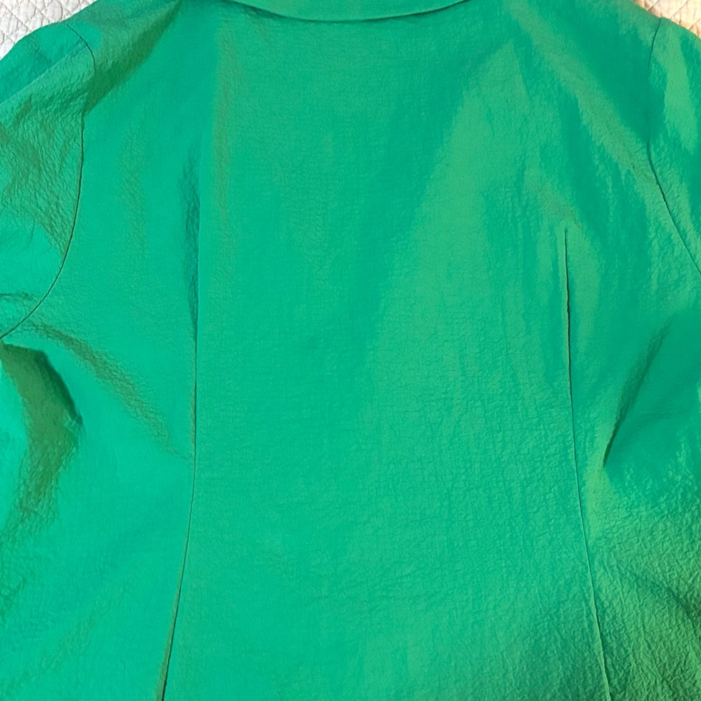 Green A-Line Maxi Dress with Cuffed Sleeves and Notched Collar - Picture 8 of 12